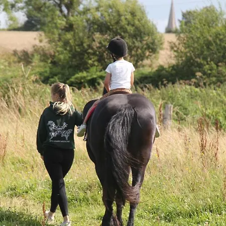 Bed & Breakfast Ferme Hay Day 3*
