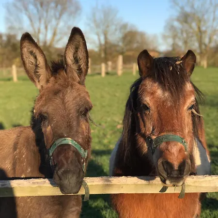 Bed & Breakfast Ferme Hay Day
