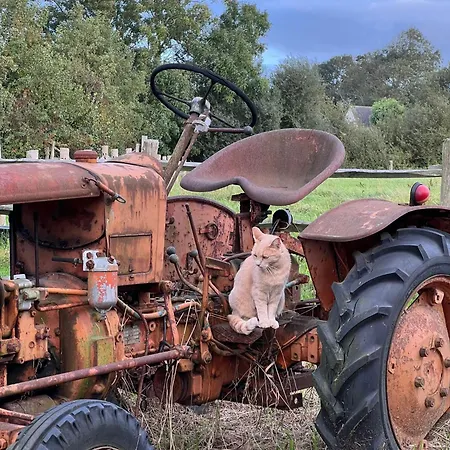 Bed & Breakfast Ferme Hay Day