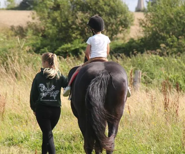 Bed & Breakfast Ferme Hay Day 3*