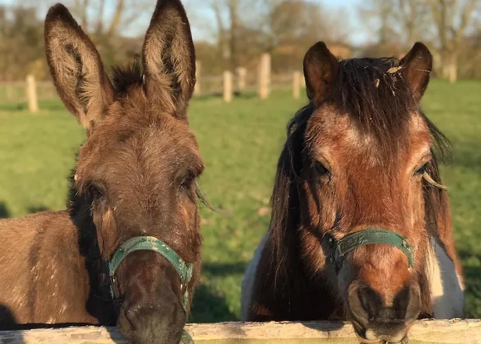 Bed & Breakfast Ferme Hay Day