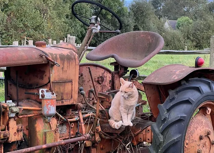 Bed & Breakfast Ferme Hay Day